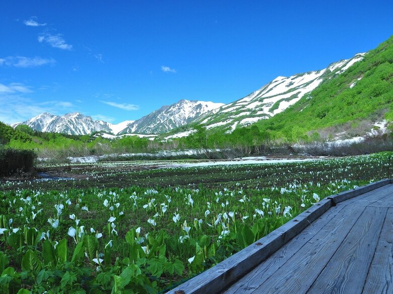 Hostal Unplan Village Hakuba ? Hostel