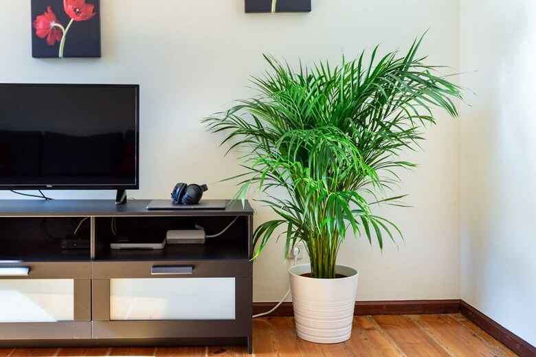 Downtown City Apartment Rentexperience