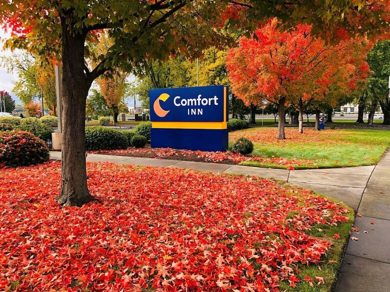 Hotel Comfort Inn South