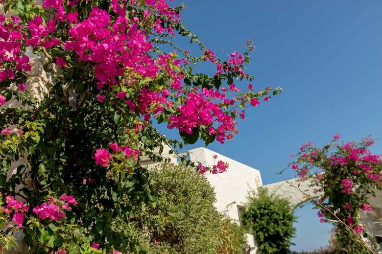 Stagones Luxury Villas