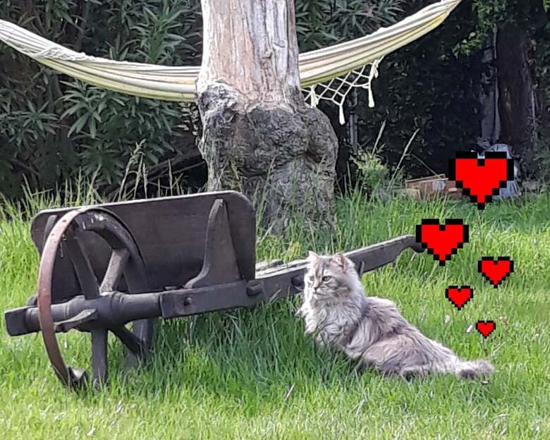 Bed & Breakfast Mas La Pomar�de