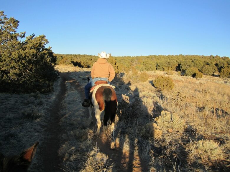 Pueblo Bonito Bed And Breakfast Inn