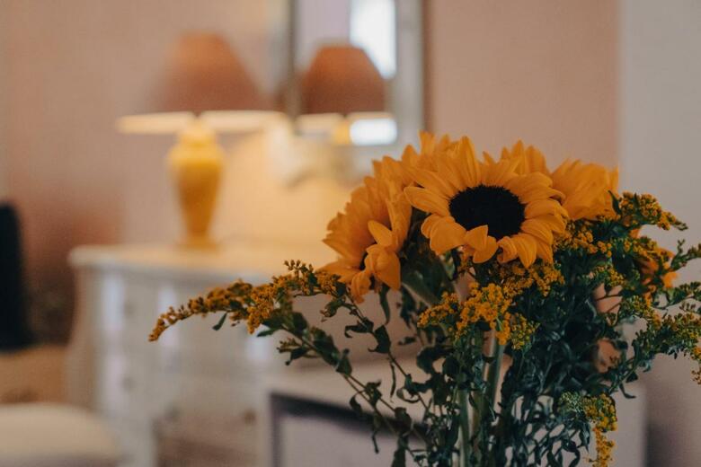 Hotel Anagenessis Suites & Spa Resort - Adults Only