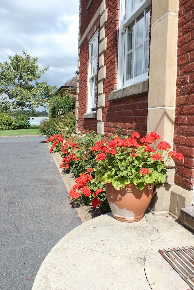 Bed & Breakfast Austons Down