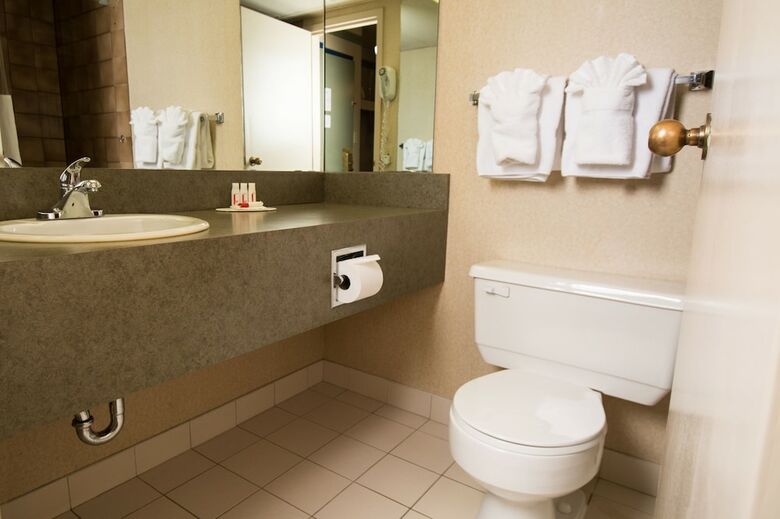 Hotel Edmonton Inn And Conference Centre