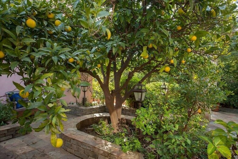 Magnifique Cottage Au Coeur de Bastia