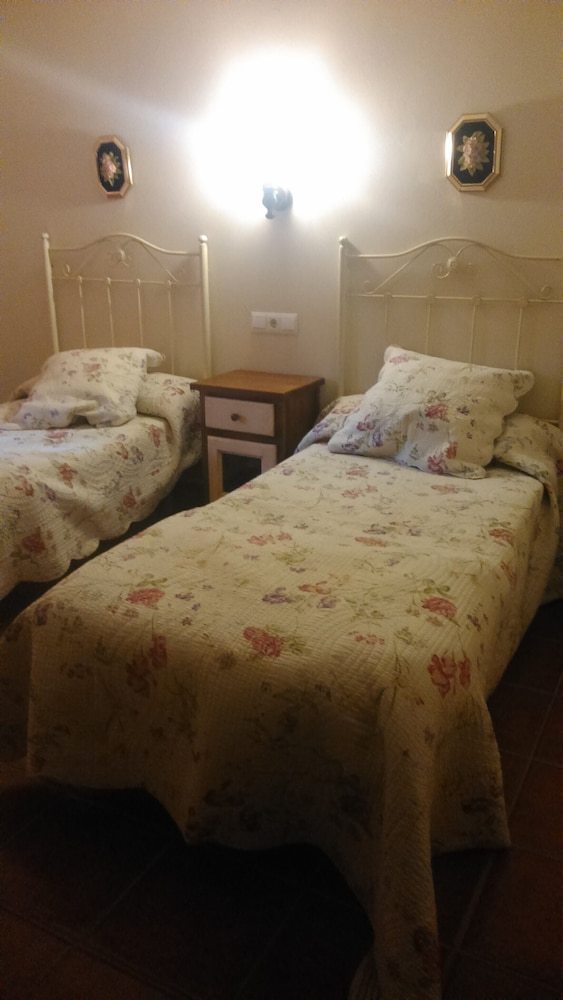 Apartamentos La Mina de Vi�on