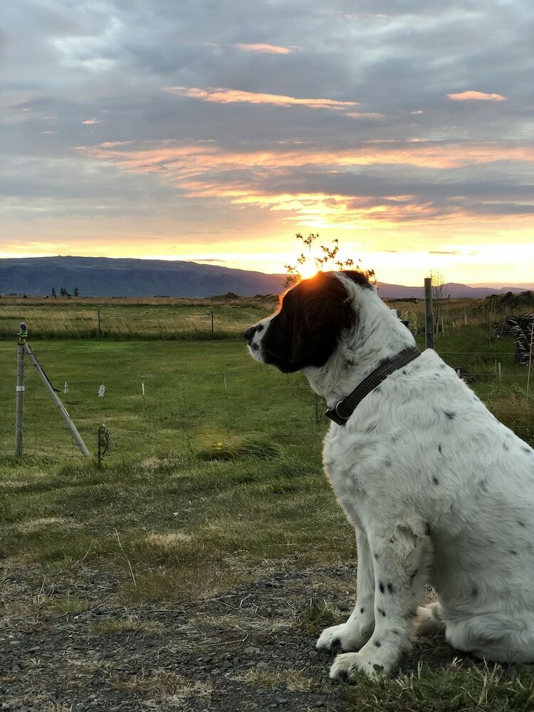 Hotel �sahraun Guesthouse