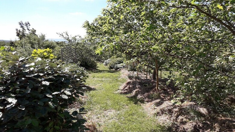 Cabanes Tr�sors de Campagne