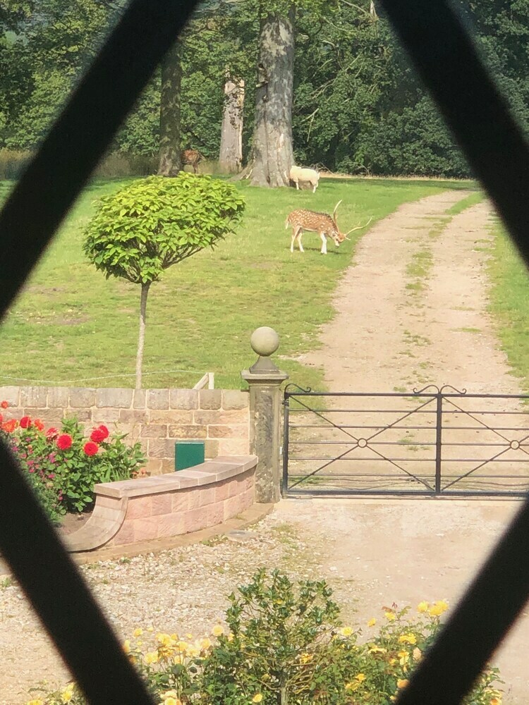 Bed & Breakfast Florence Nightingale Suites At Lea Hurst