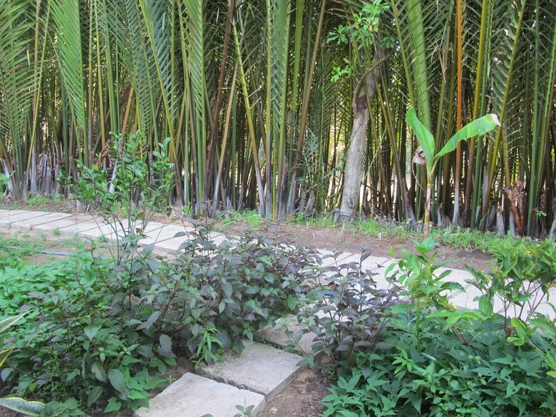 Hotel Ben Tre Farm Stay