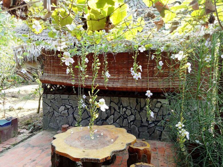 Hotel Ben Tre Farm Stay