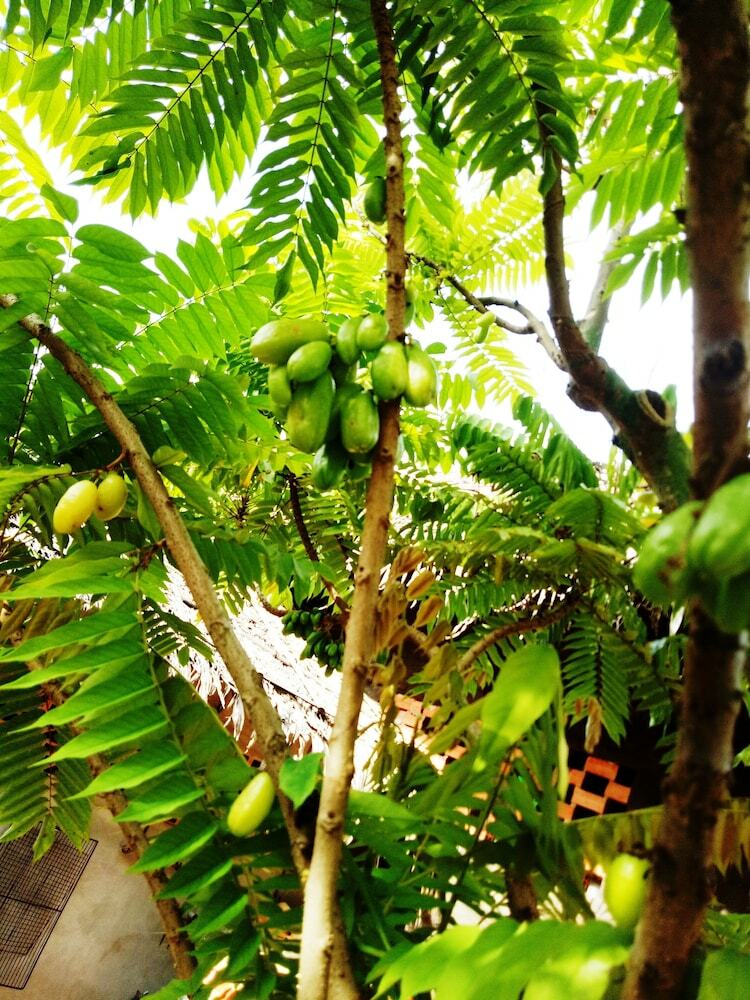 Hotel Ben Tre Farm Stay