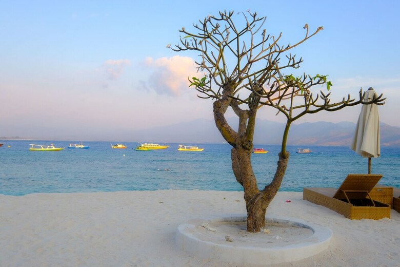 Hostal Oyo 1425 Beach Wind Bungalows