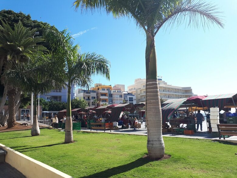 Apartamentos Atico Medano 3