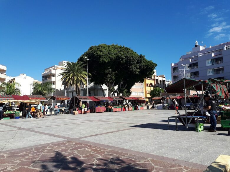 Apartamentos Atico Medano 3