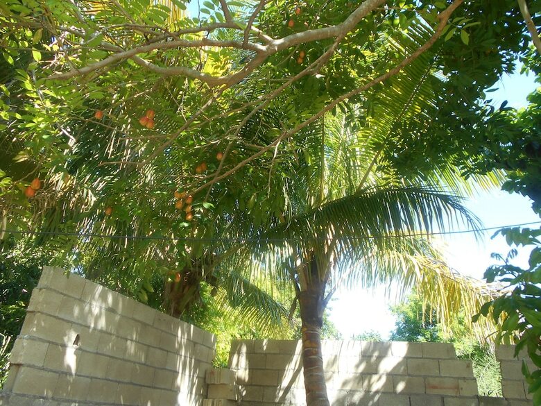 Bed & Breakfast Little Jamaican Feel