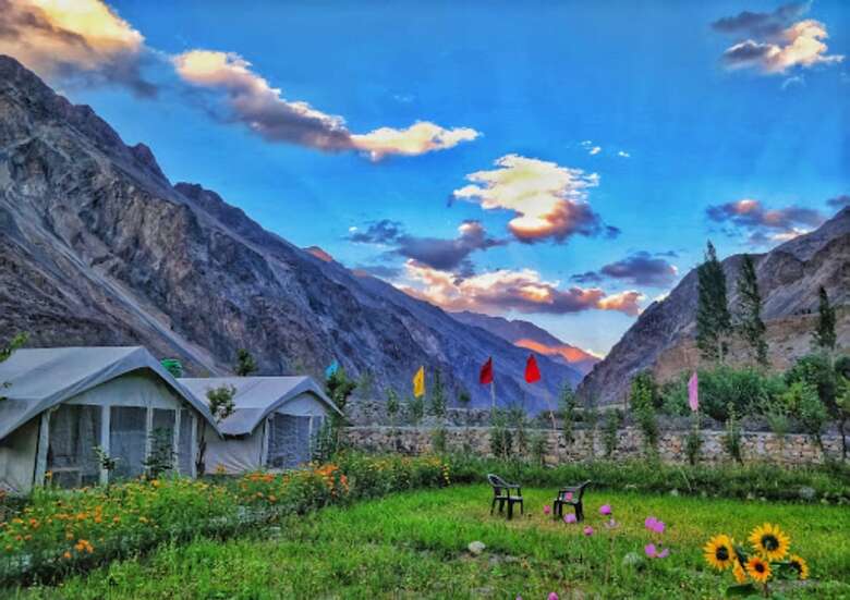 Hotel Tih Buckwheat Root Camp - Turtuk