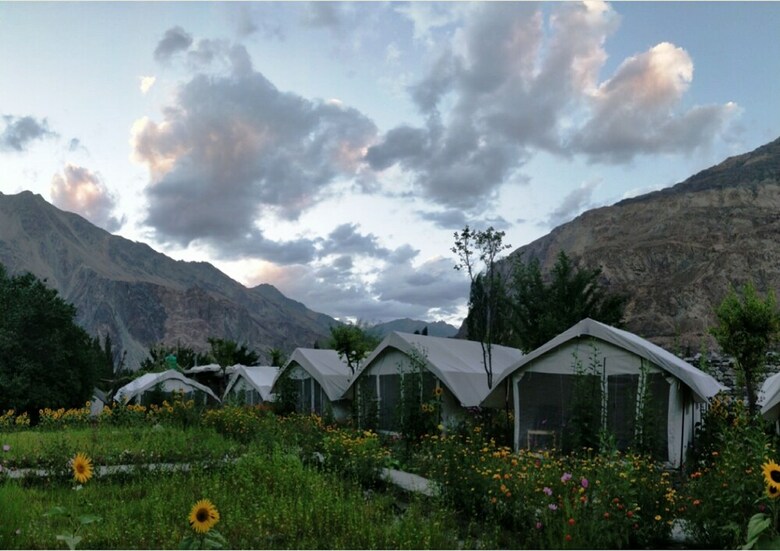 Hotel Tih Buckwheat Root Camp - Turtuk