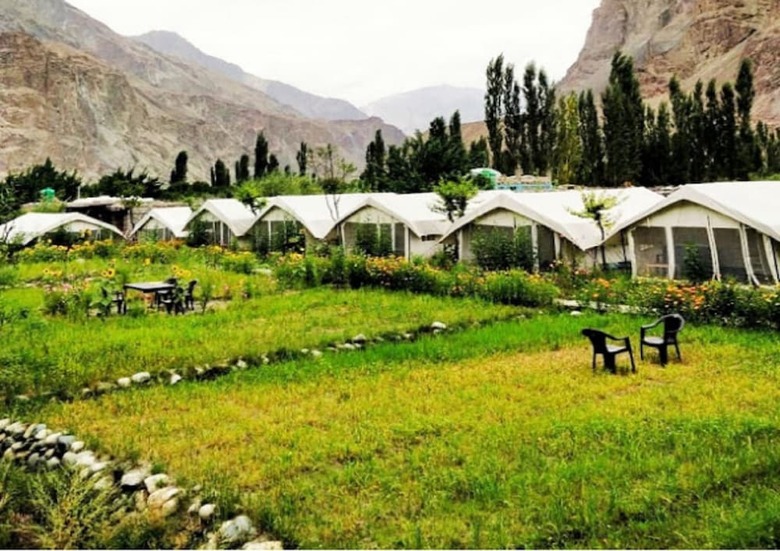 Hotel Tih Buckwheat Root Camp - Turtuk