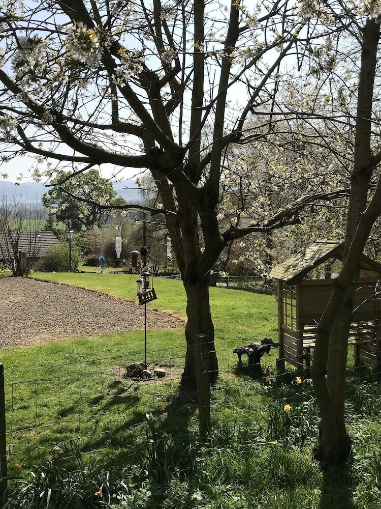 Winkston Courtyard Cottages
