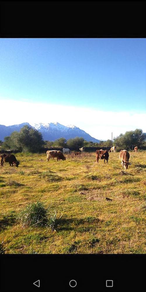 Agroturismo Agriturismo Iloghe