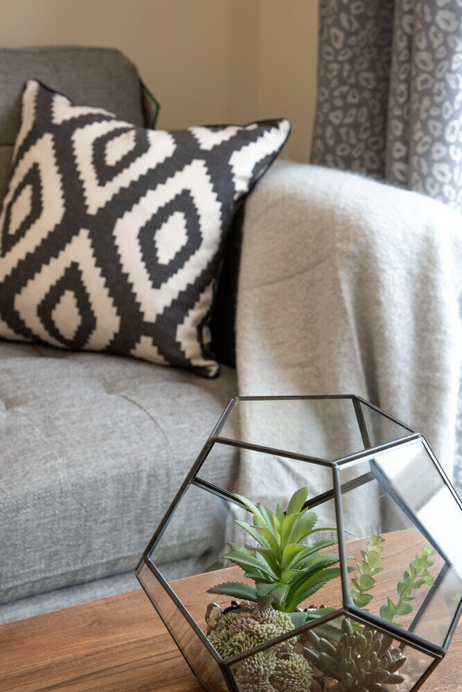 Apartamentos Maiz-fitzalan