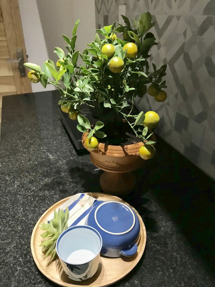 Apartamentos Uri House