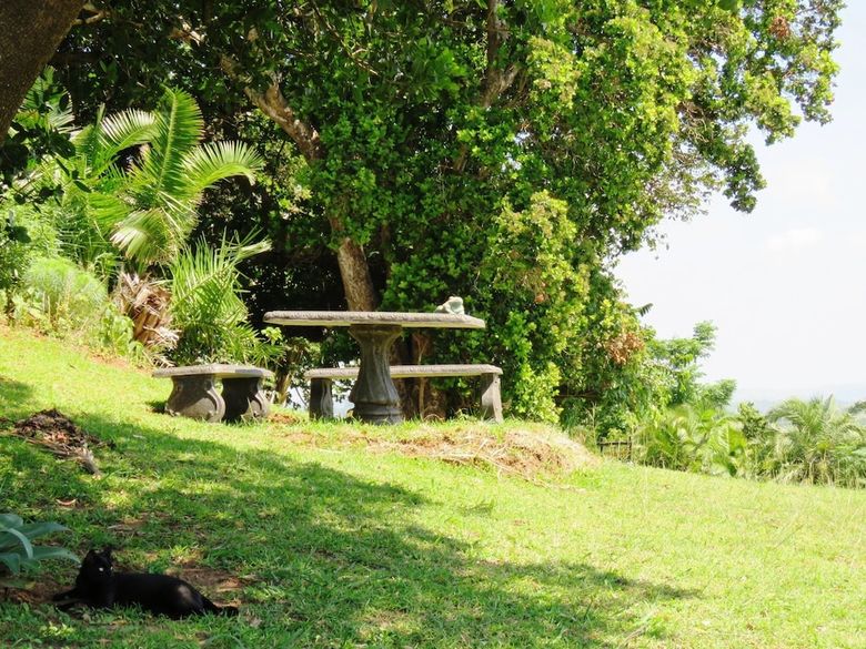 Apartamentos Palm Beach Chalets