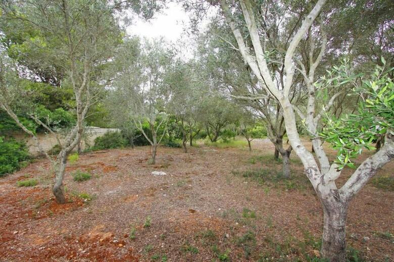 Apartamento Tenuta La Saracina