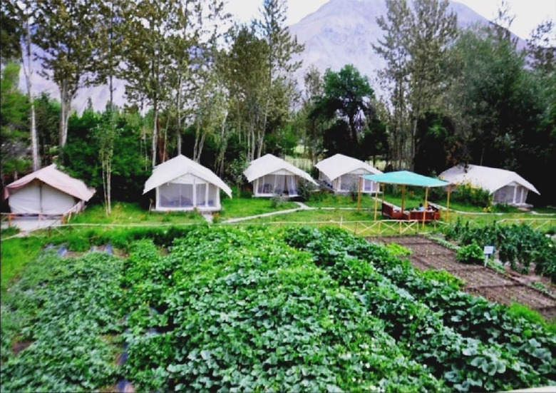 Nubra Organic Retreat - Hunder