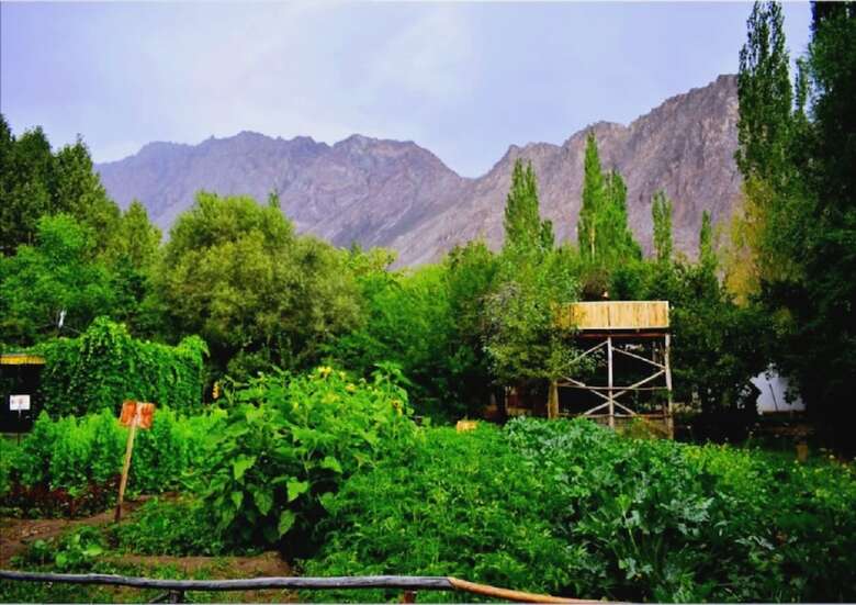 Nubra Organic Retreat - Hunder