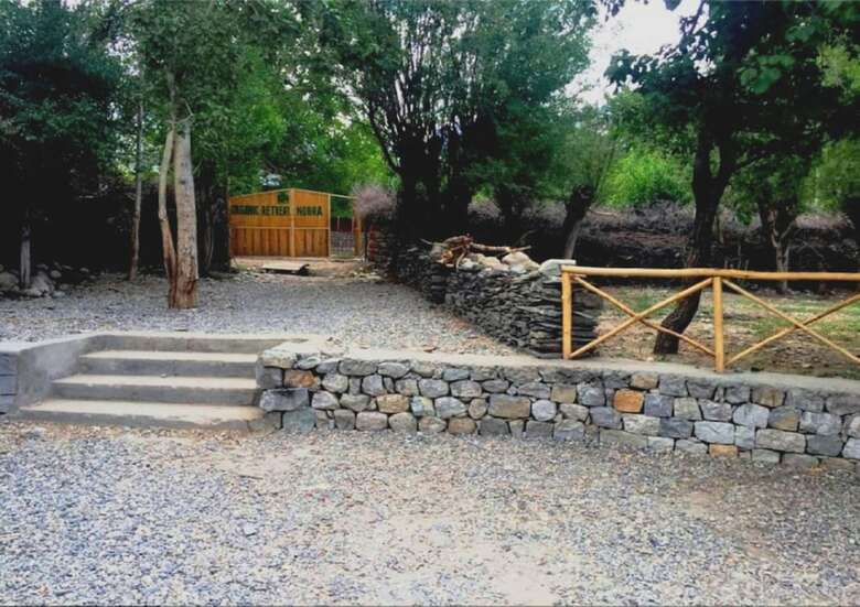 Nubra Organic Retreat - Hunder
