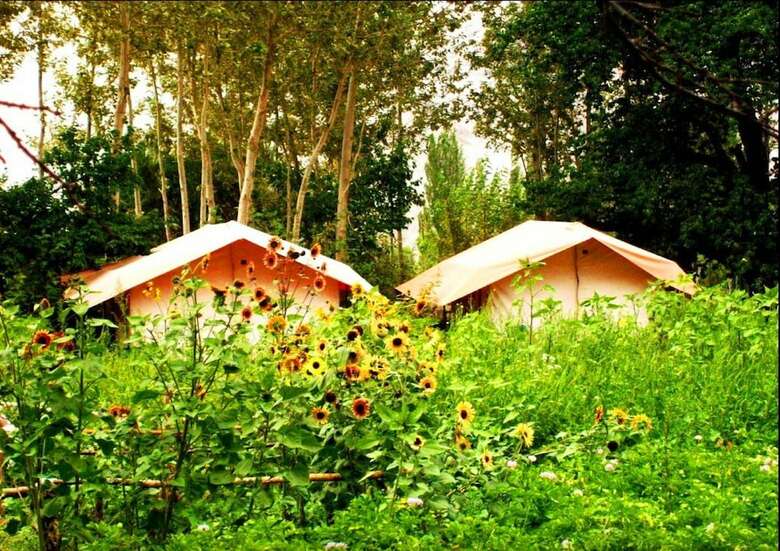 Nubra Organic Retreat - Hunder