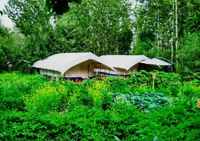 Nubra Organic Retreat - Hunder