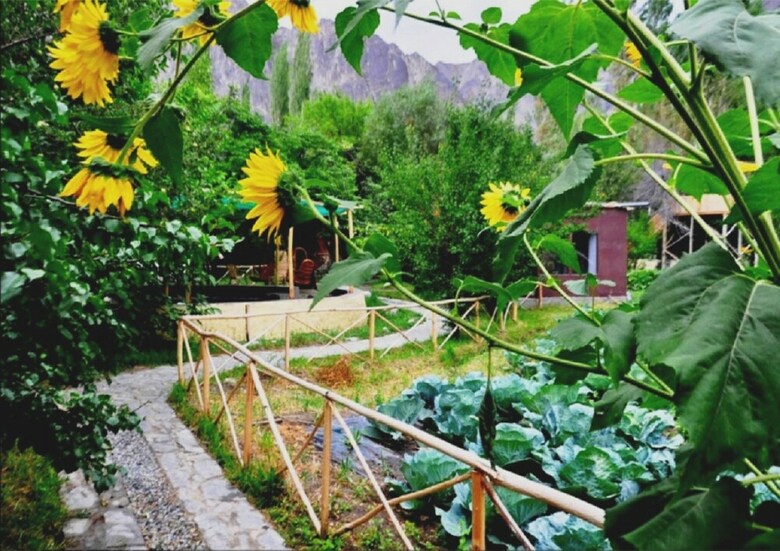 Nubra Organic Retreat - Hunder