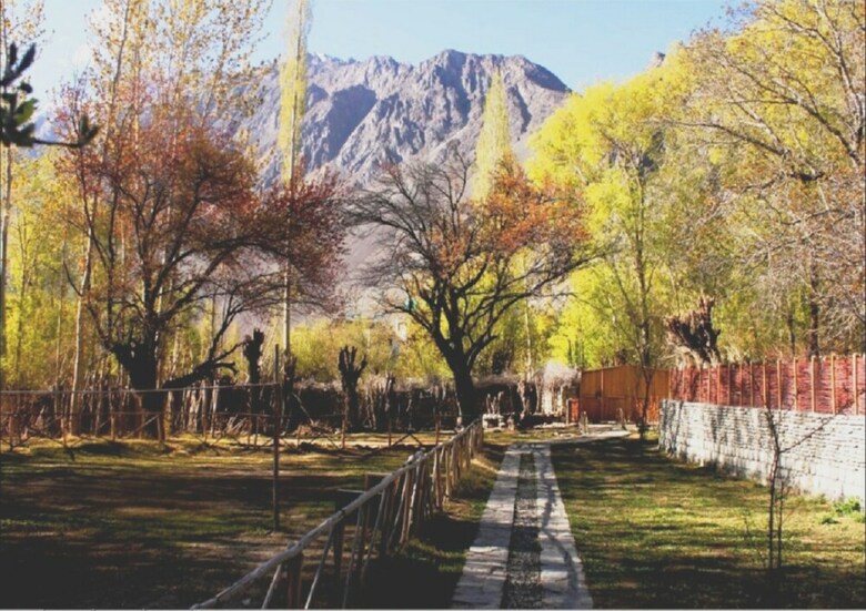 Nubra Organic Retreat - Hunder