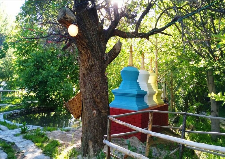 Nubra Organic Retreat - Hunder