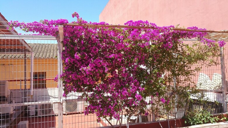 Hotel Sotel Valle Guadiaro