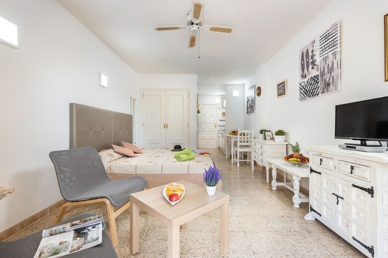 Apartamentos 530 Big Studio With Terrace