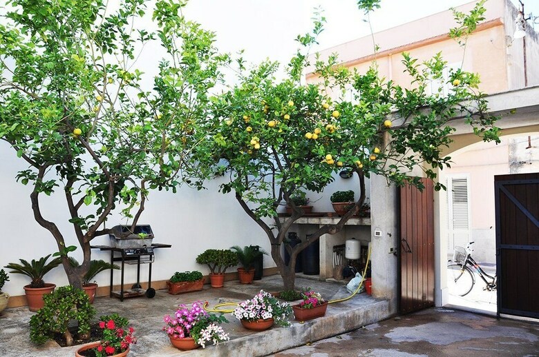 Apartamento I Tre Golfi Captain Dowson Con Mansarda