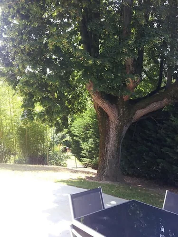 Bed & Breakfast La Pi�tra