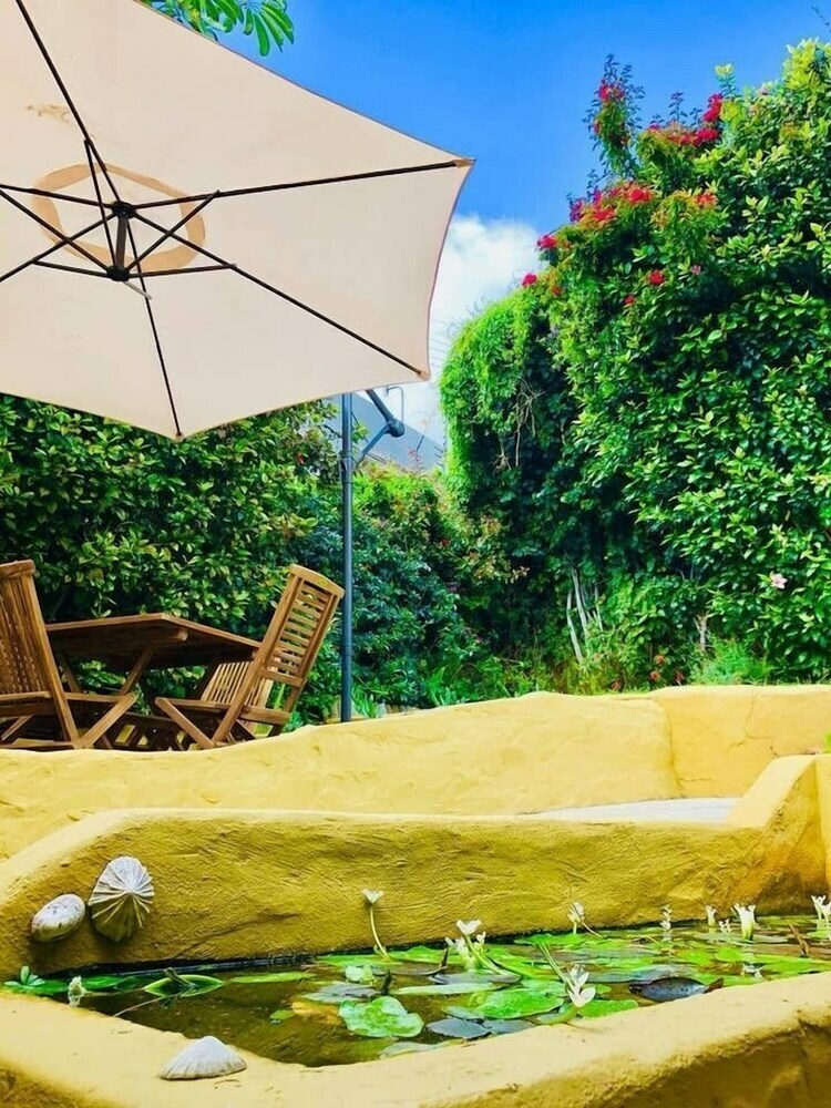 Sun & Sea In A Downtown Villa