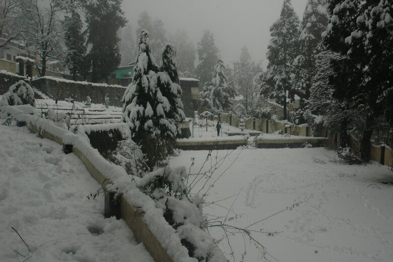 Hotel Shervani Hilltop Nainital