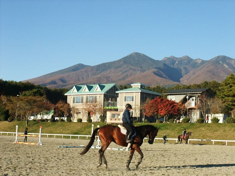 Pension Gasthof Ascot