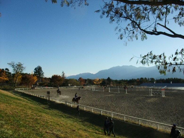 Pension Gasthof Ascot