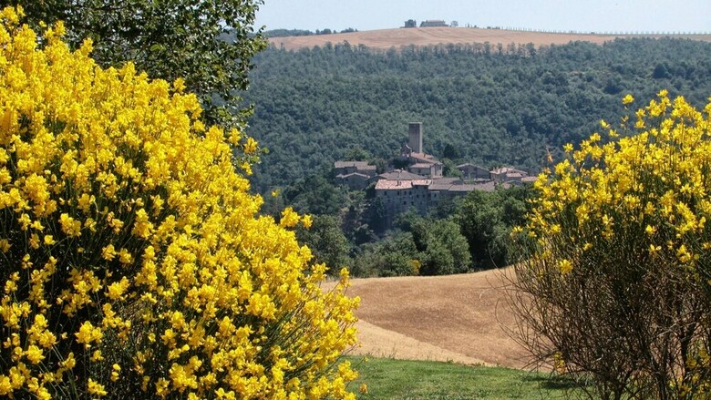 Agroturismo Agriturismo Casa Greppo