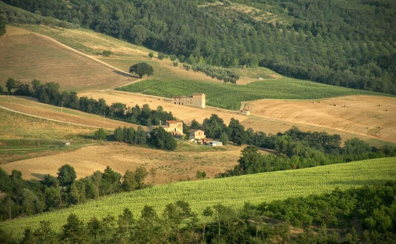 Agroturismo Agriturismo Casa Greppo