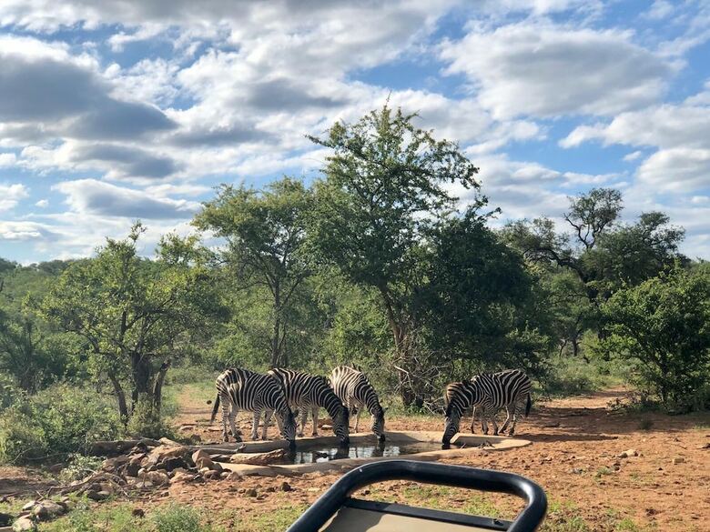 Posada Emhosheni River Lodge