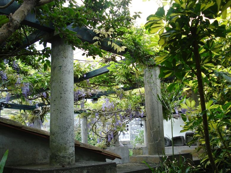 Bed & Breakfast Quinta Das Buganv�lias